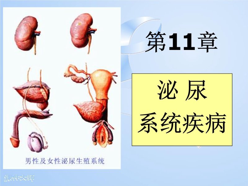 你是否因为泌尿系统的不适而感到困扰?选择一家好的泌尿外科医院是解决问题的关键。