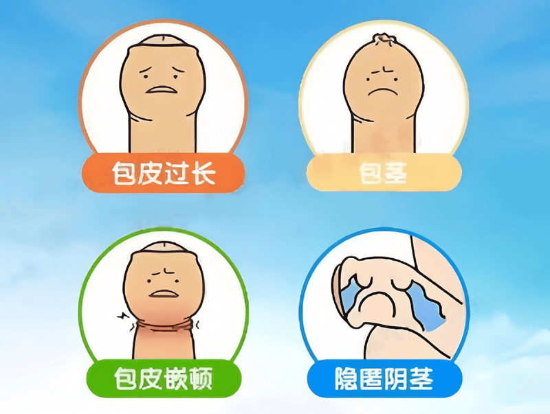 厦门出入境检验检疫局:保障厦门口岸安全的坚实屏障